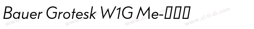 Bauer Grotesk W1G Me字体转换